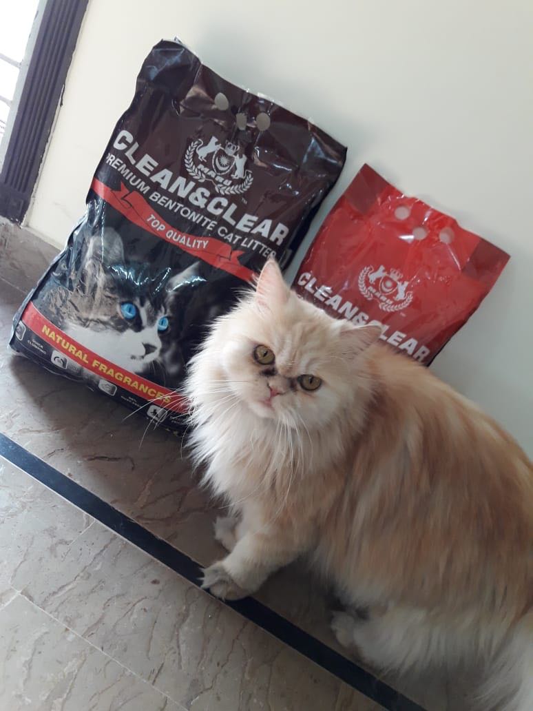  Cat Litter - Clean& Clear - Bundles Offer - Coffee Scented - 10 Kgs Cat Litter