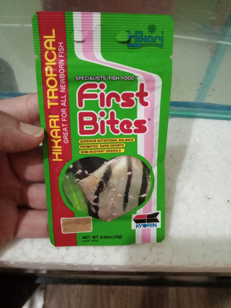 hikari first bites for betta fry