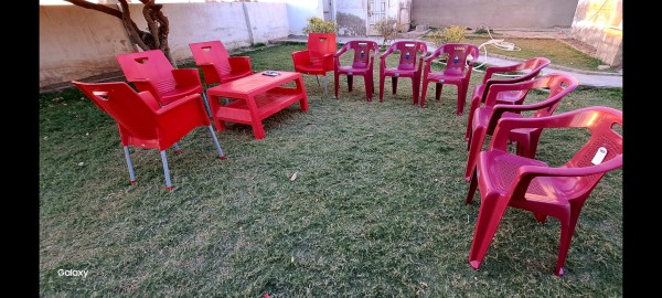 Wello By Boss WP-102 Falamingo Full Plastic Chair (Pack of