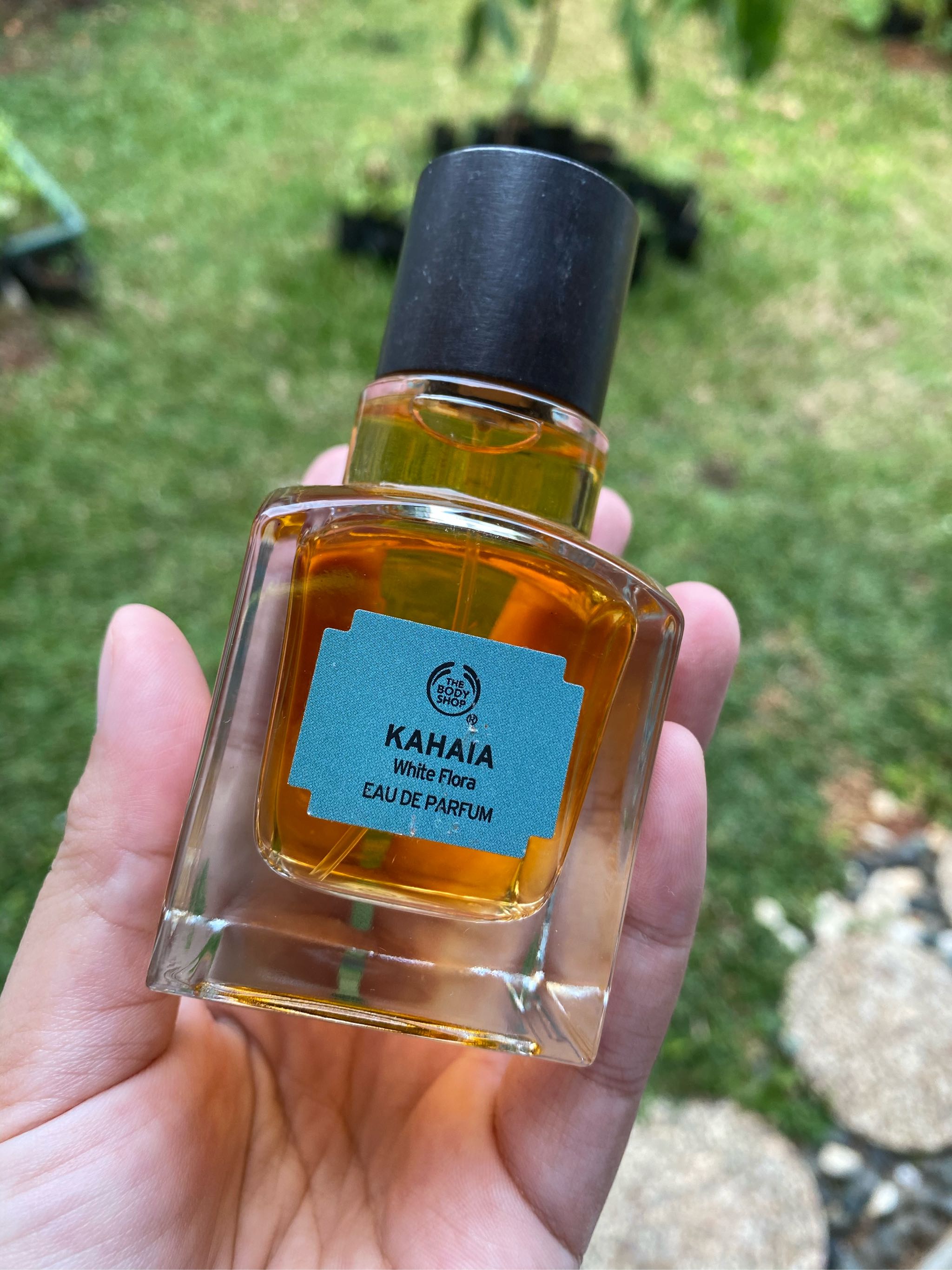 Kahaia eau discount de parfum review