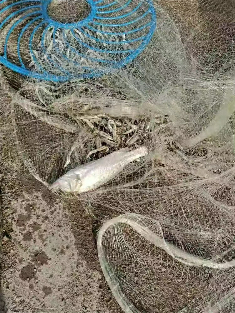 Imported American fishing net White fishing net Diameter 4.2M Fishing net  set Large pulling force Can catch any fish Easy to use Suitable for any  waters Durable