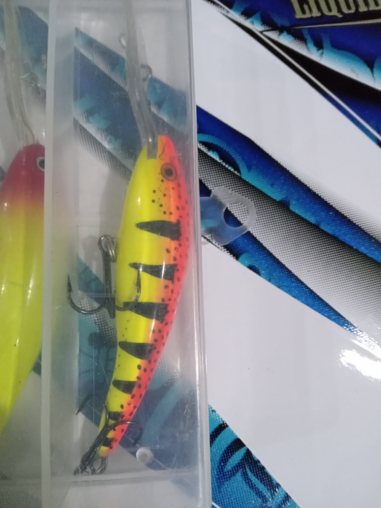 Snake Head Pencil 10cm/15.6g Top Water Fishing Bait Minnow Lure 3D Eyes