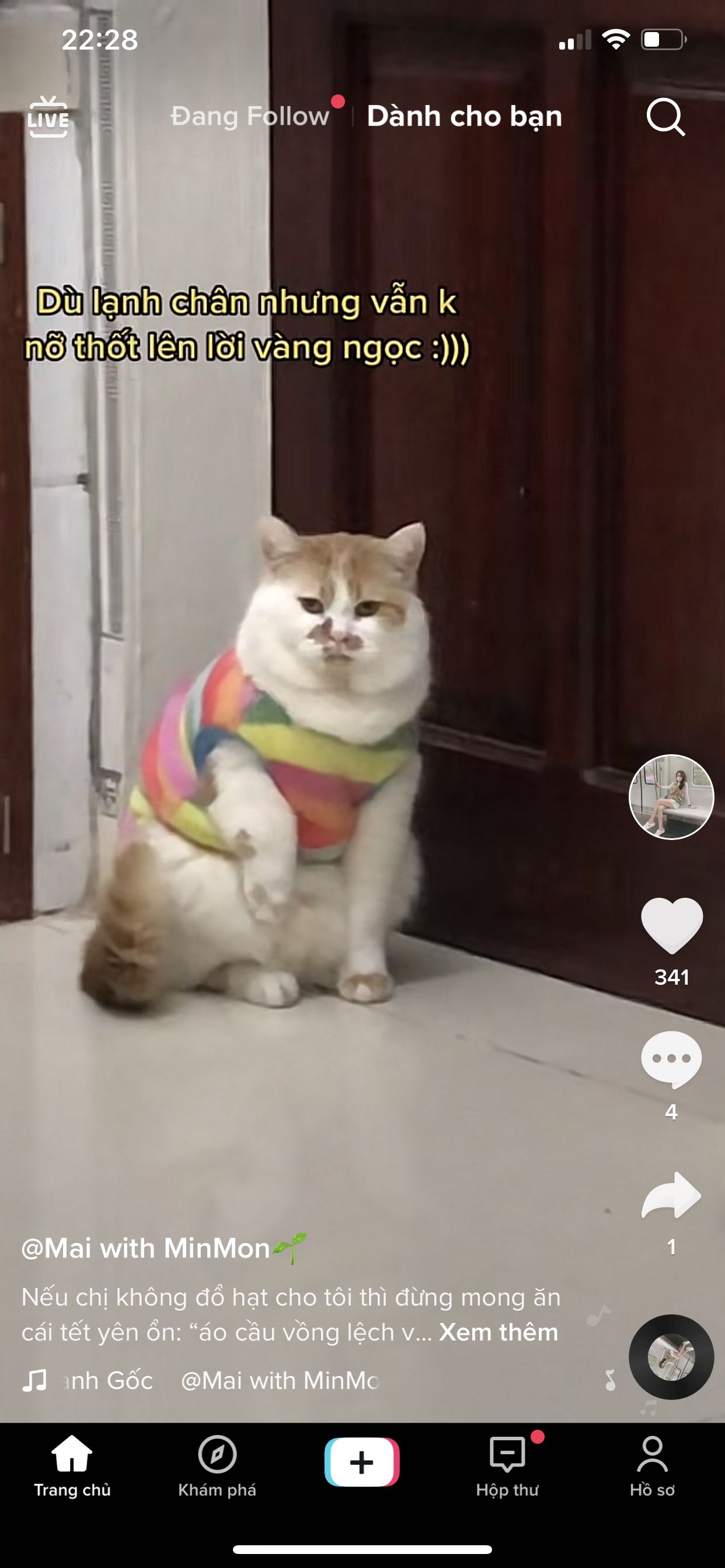 Ảnh đánh giá