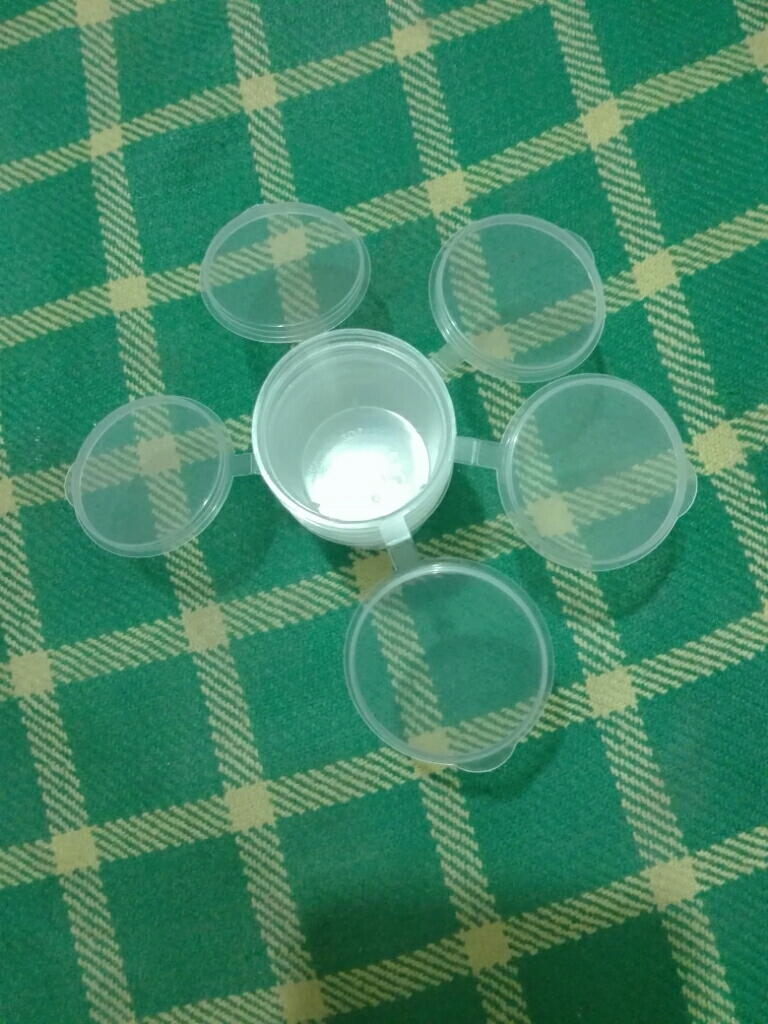 Small Plastic Sauce Cups Food Storage Containers Clear Boxes + Lids 