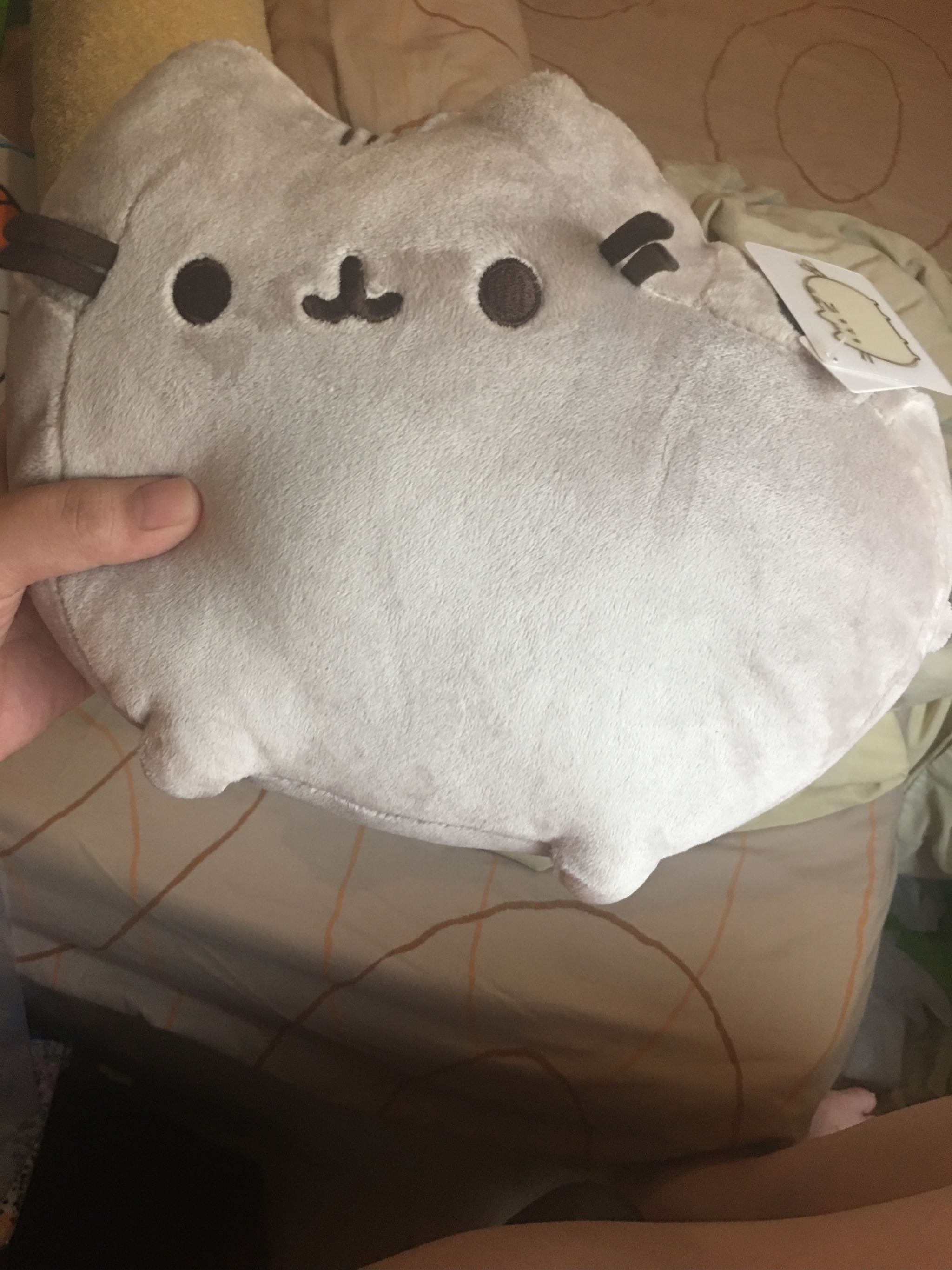 pusheen 4048864