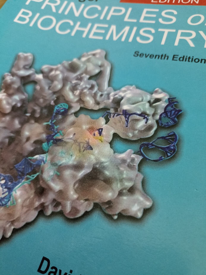 Lehninger Principles Of Biochemistry by David L. Nelson & Michael