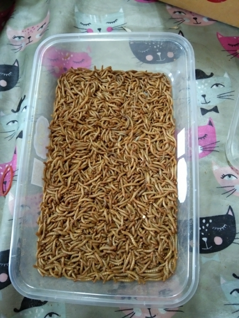 アイテムID:5182476の画像1枚目