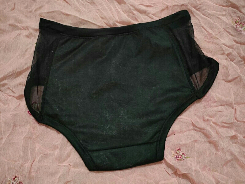 Period Leak Proof Panties Women Underwear Pants Nylon Briefs at Rs 1499.00, Women Underwear
