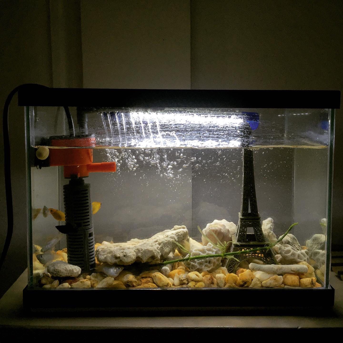 clearance fish tank decorations