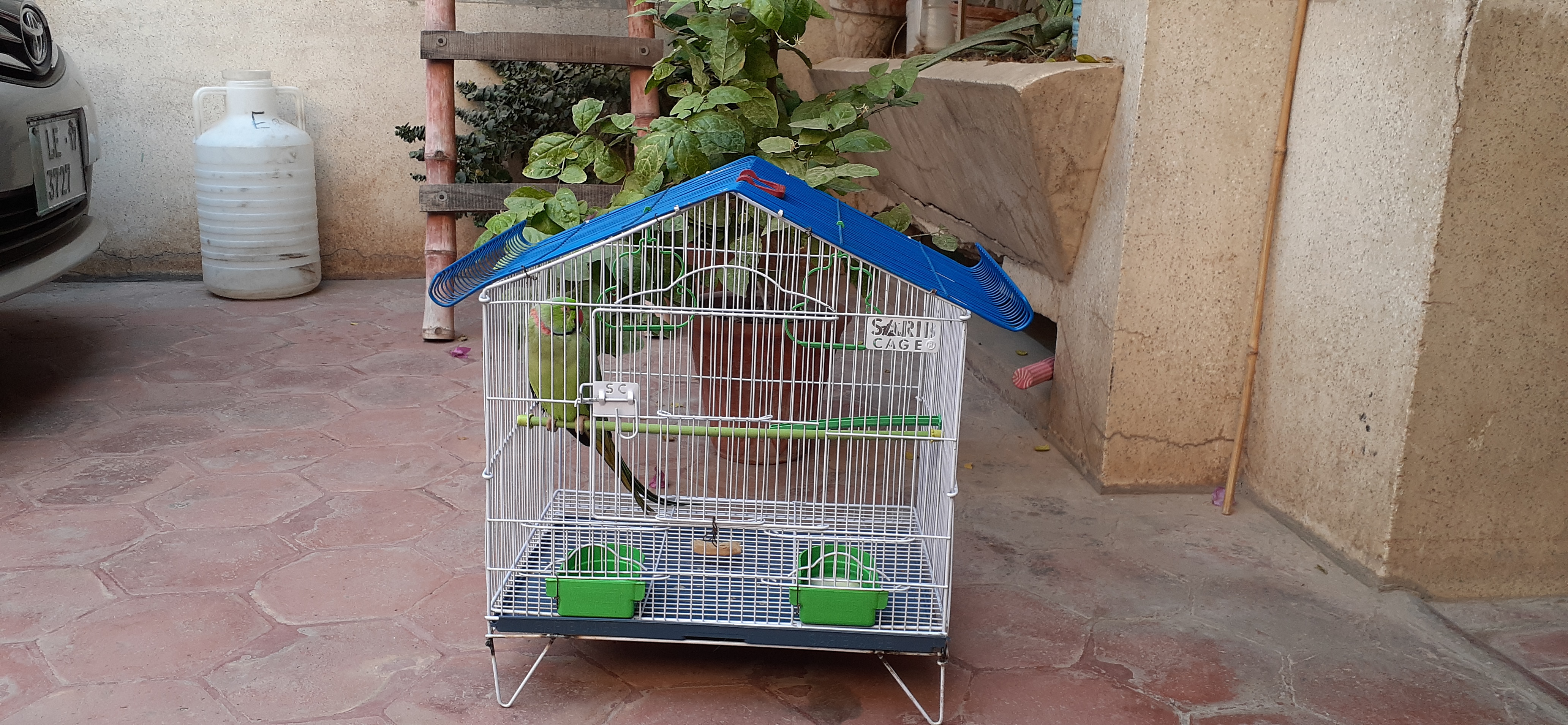 Bird top cage daraz