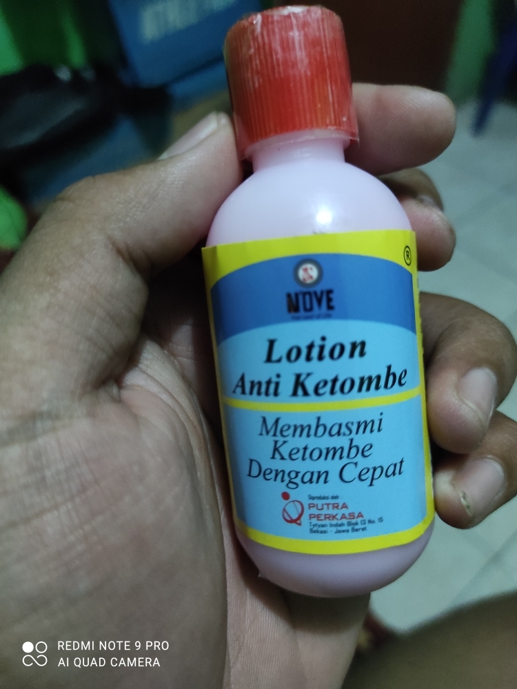 Obat Ketombe Parah Ketombe Berkerak Obat Ketombe Paling Ampuh Nove Pembasmi Ketombe Obat Ketombe Nove Obat Ketombe Obat Anti Ketombe Shampo Ketombe Obat Penghilang Ketombe Obat