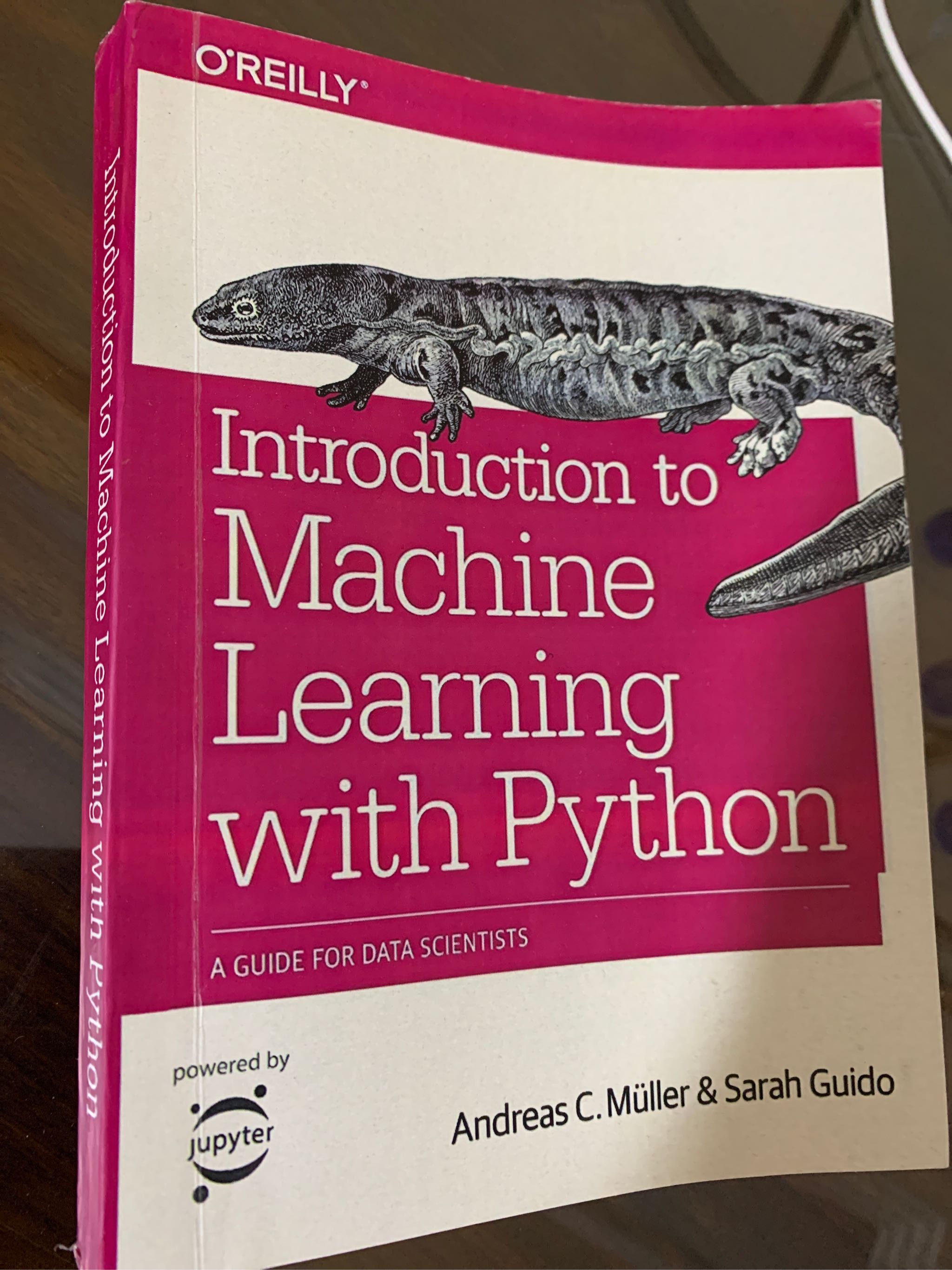 Intro to machine learning sales python