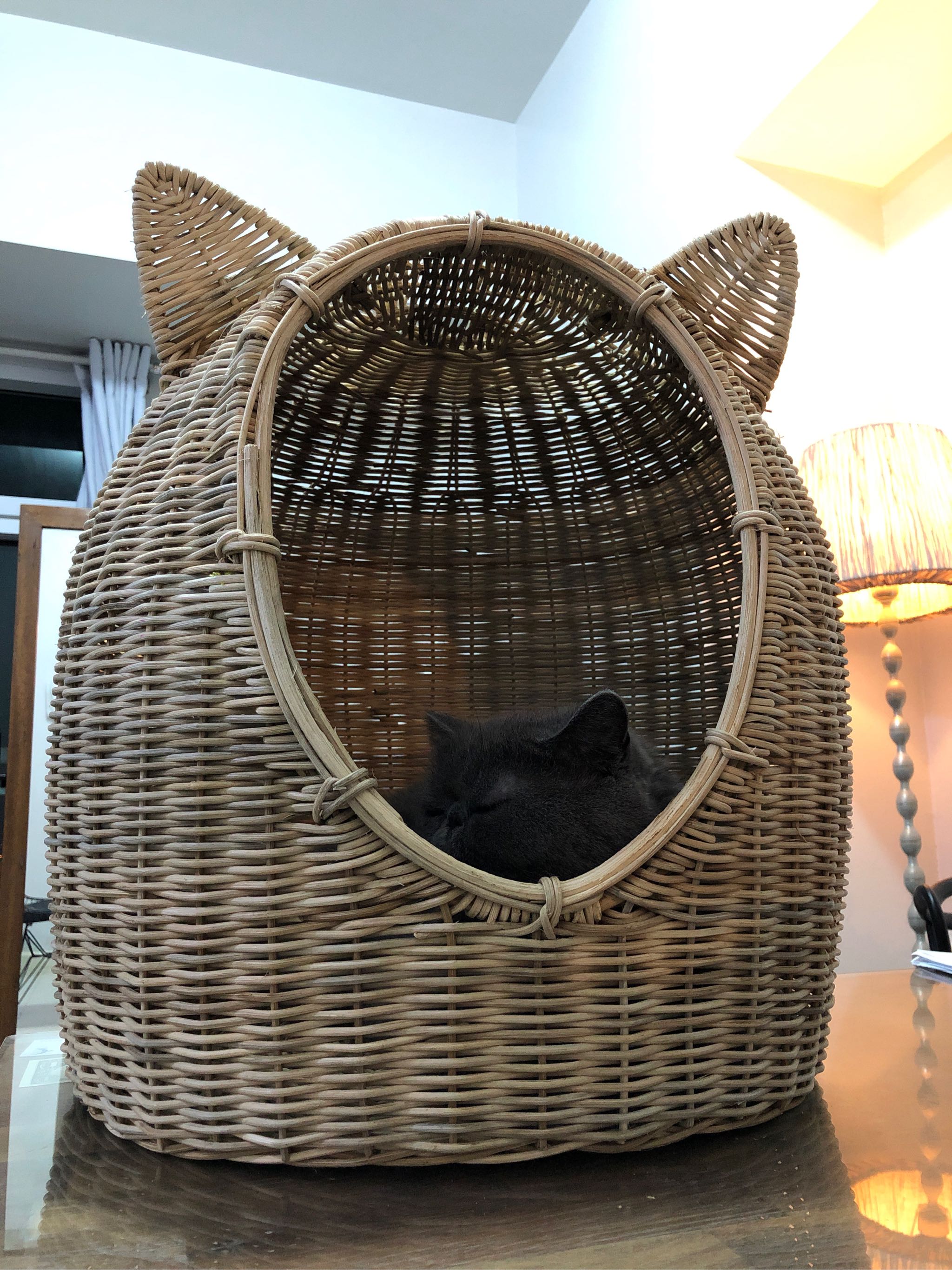wicker cat bed with ears