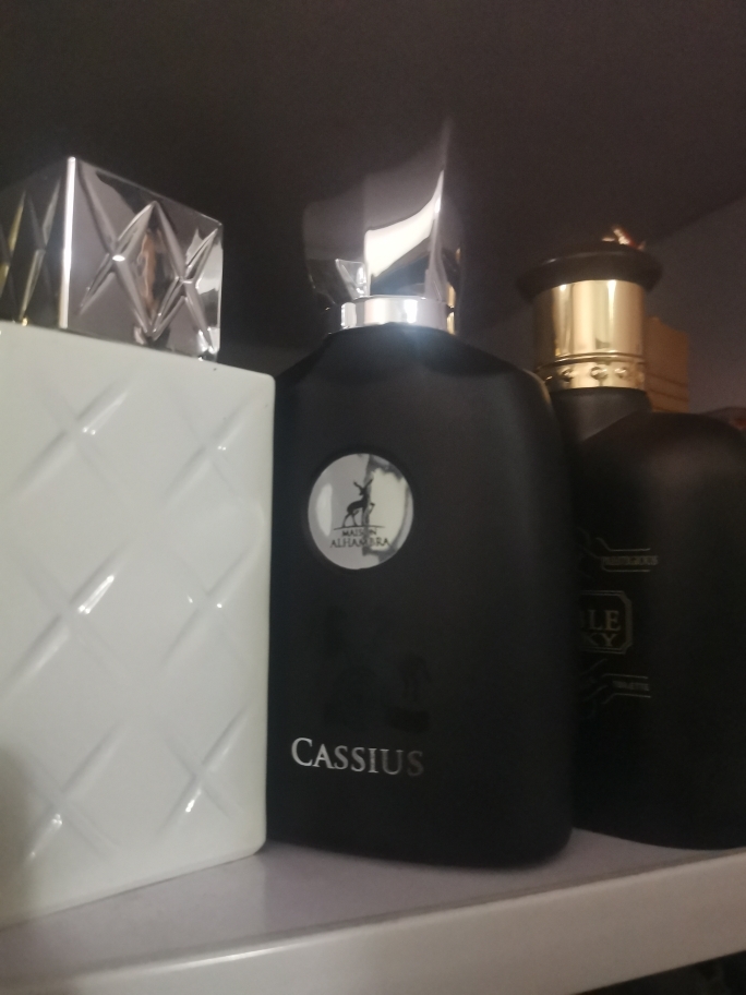 Cassius EDP 💥🥇 Perfume Maison Alhambra 100 ML 3.4FL.OZ UAE