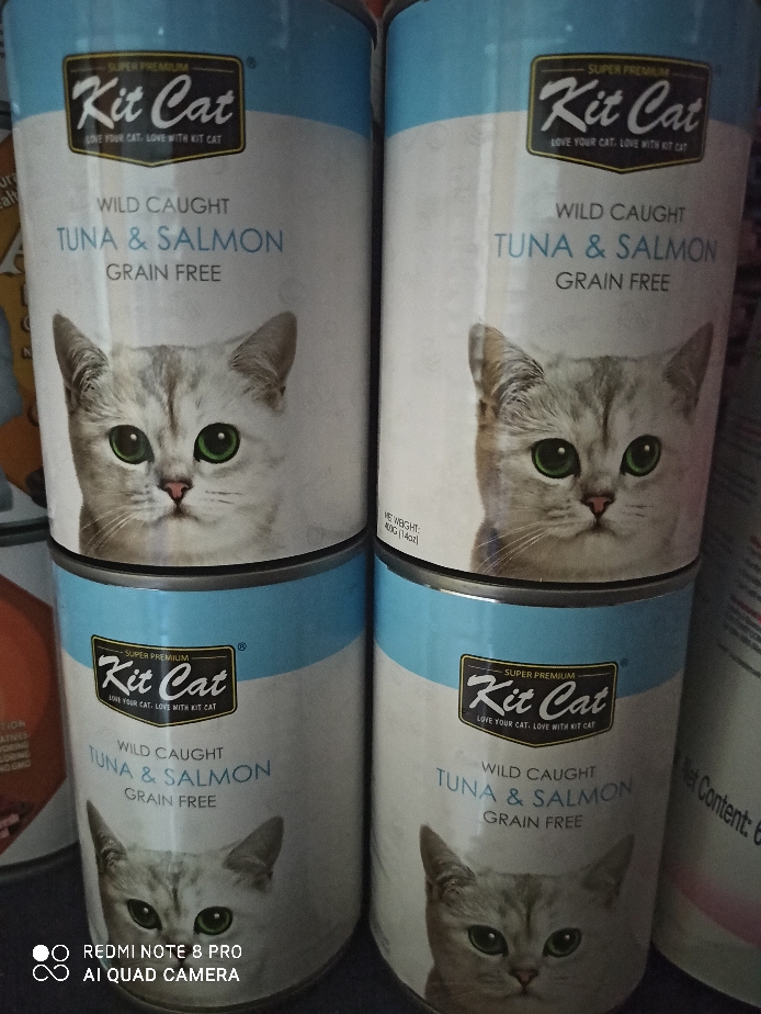 free kittens quad cities