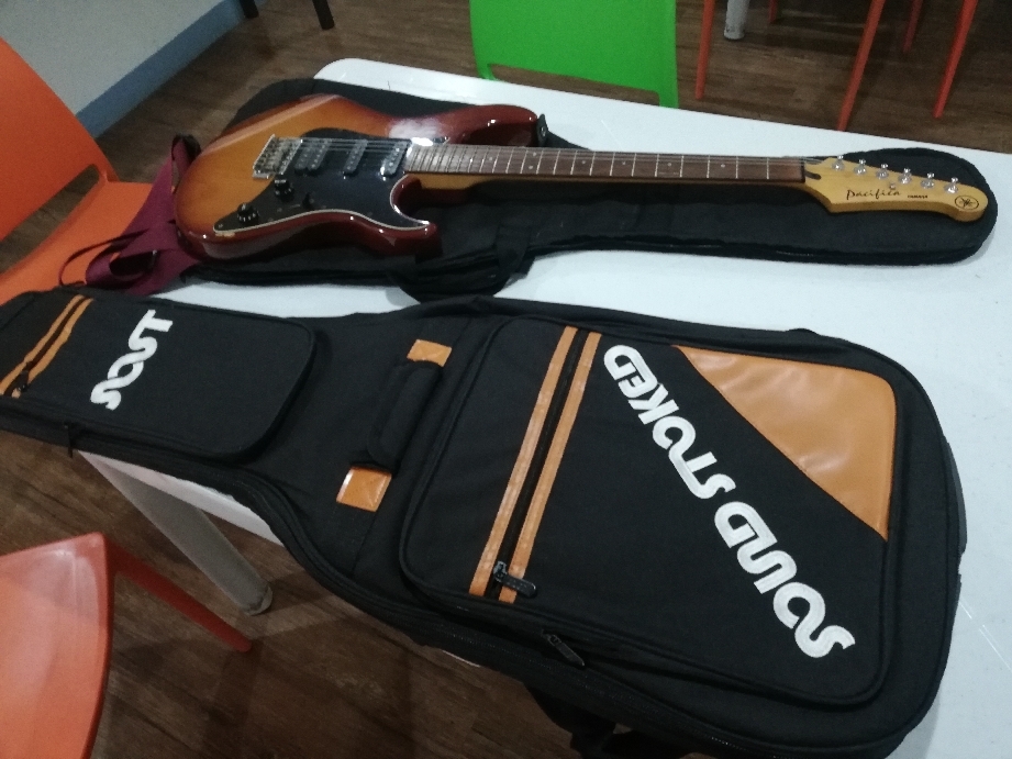 sound stoked gig bag