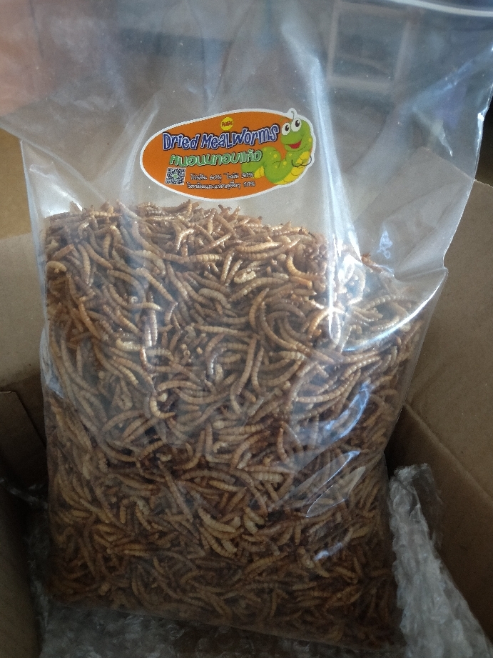 アイテムID:5182477の画像1枚目