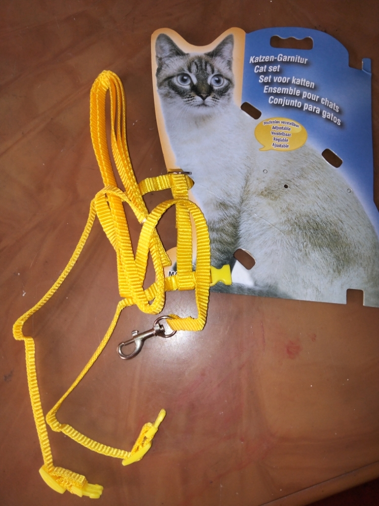 Petbarn cat outlet harness