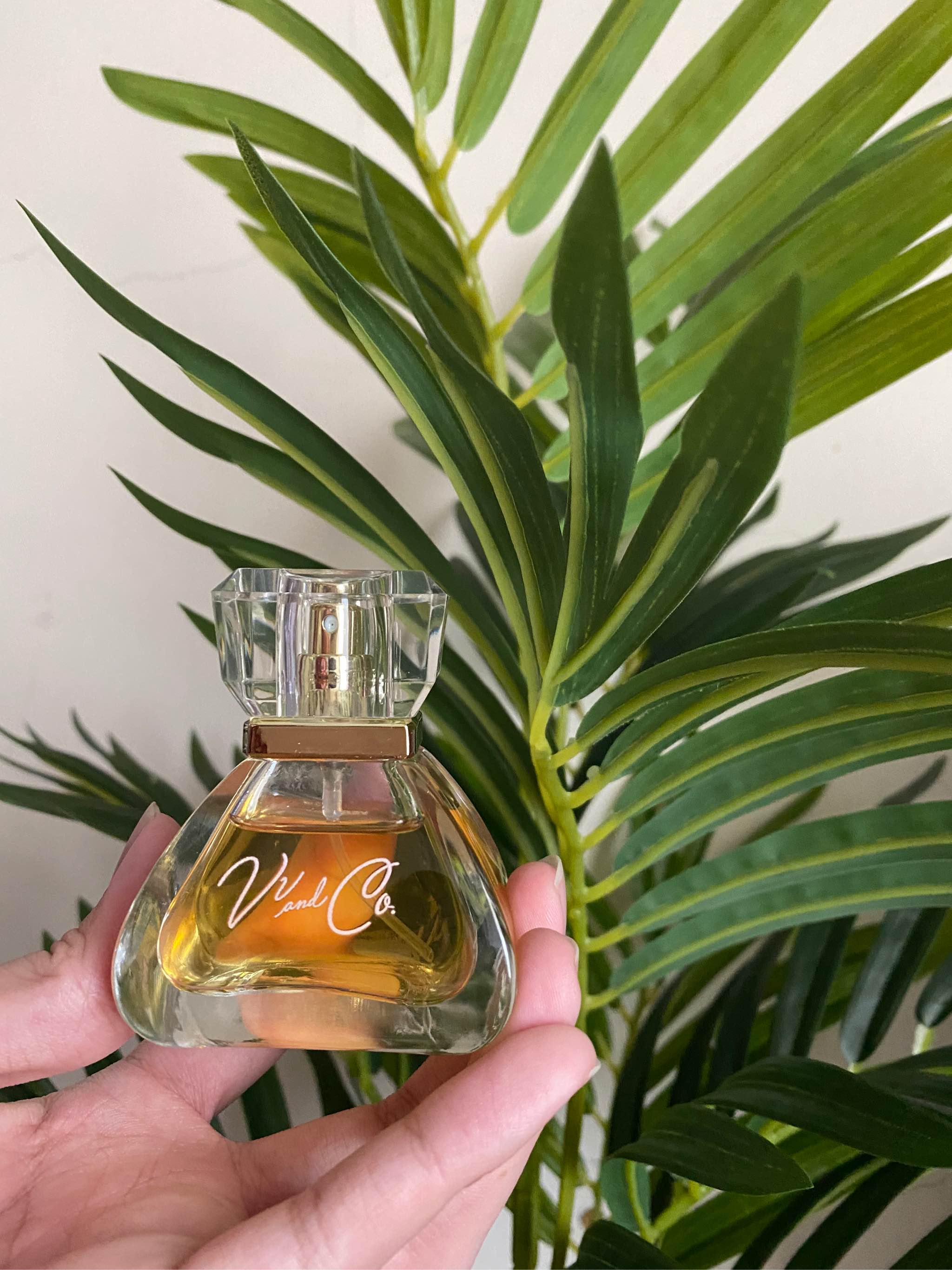 Vv and co perfume lazada new arrivals