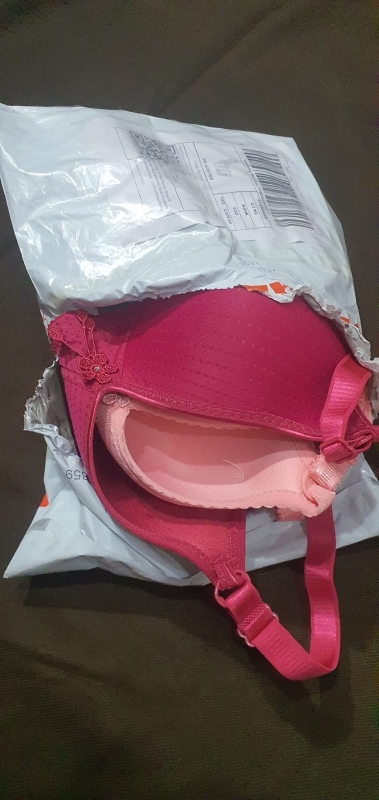 Plain Foam Padded Bras for Women adjustable Straps Non Wired Bra for Girls  Soft Push up Brazer for B and C Cups in random colours Black Pink Skin Red  Blue and Beige
