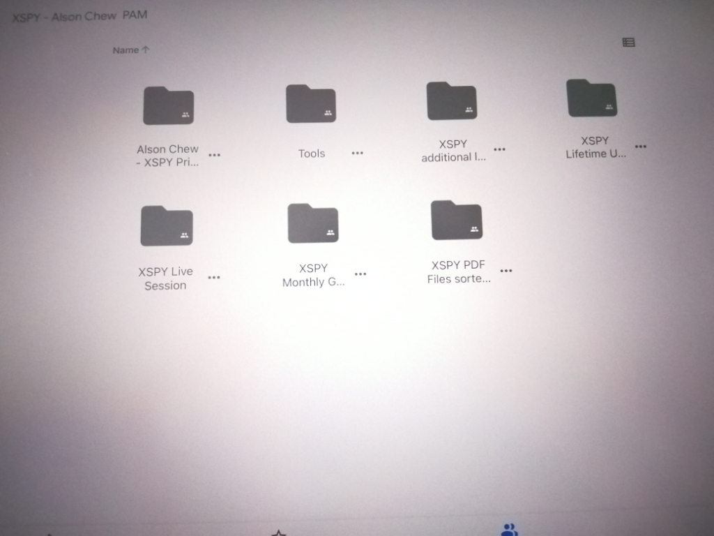 XSPY Trader Price Action Manipulation 22 Lessons - 【Forex, Stocks Trading】  【2022 Updated】 Piranha Profits Alson Chew | Lazada