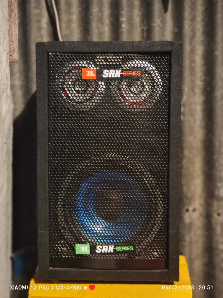 12 inch srx120dx price