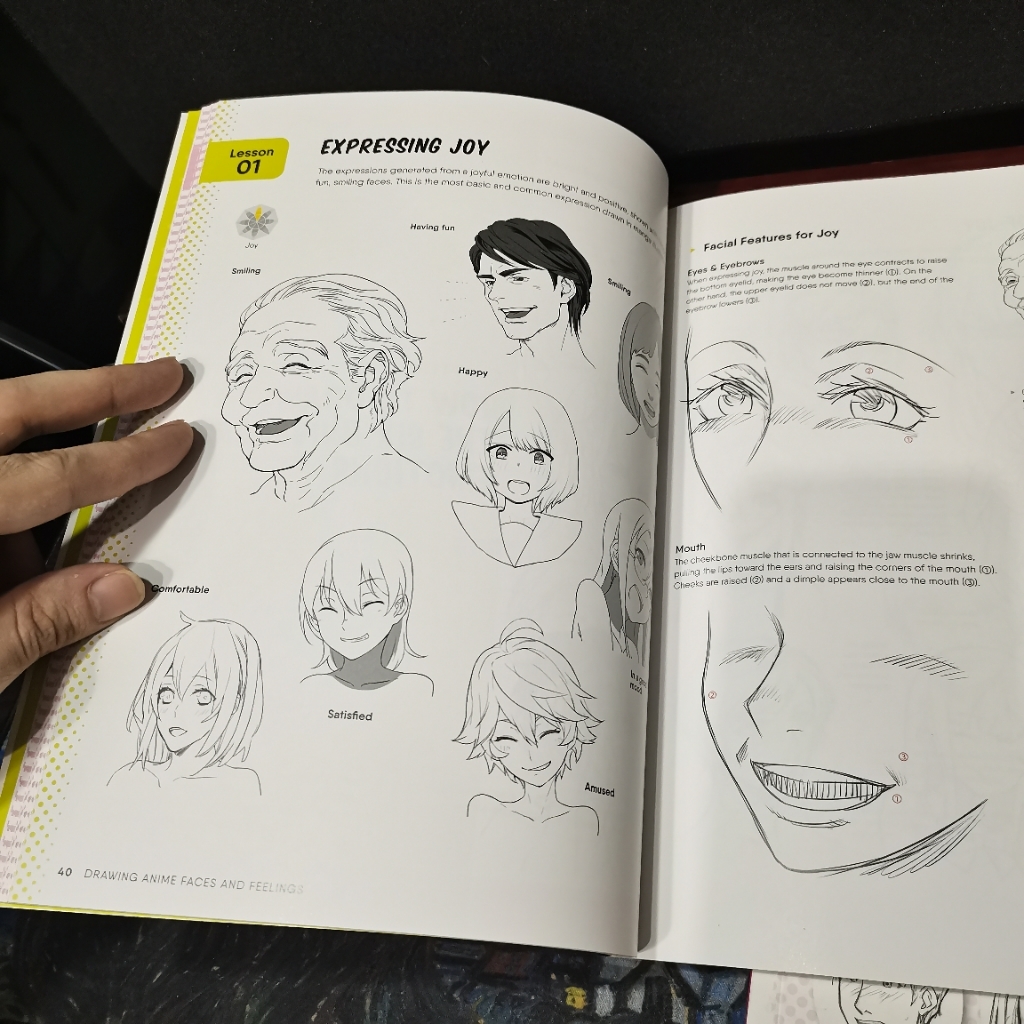 Drawing Anime Faces and Feelings: 800 Facial Expressions from Joy to  Terror, Anger, Surprise, Sadness and More (Paperback) | Lazada PH