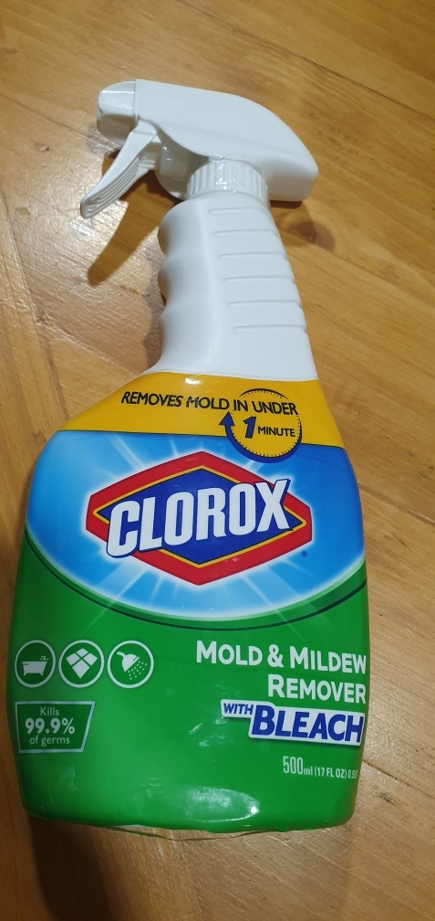 Clorox® Mold & Mildew Remover with Bleach