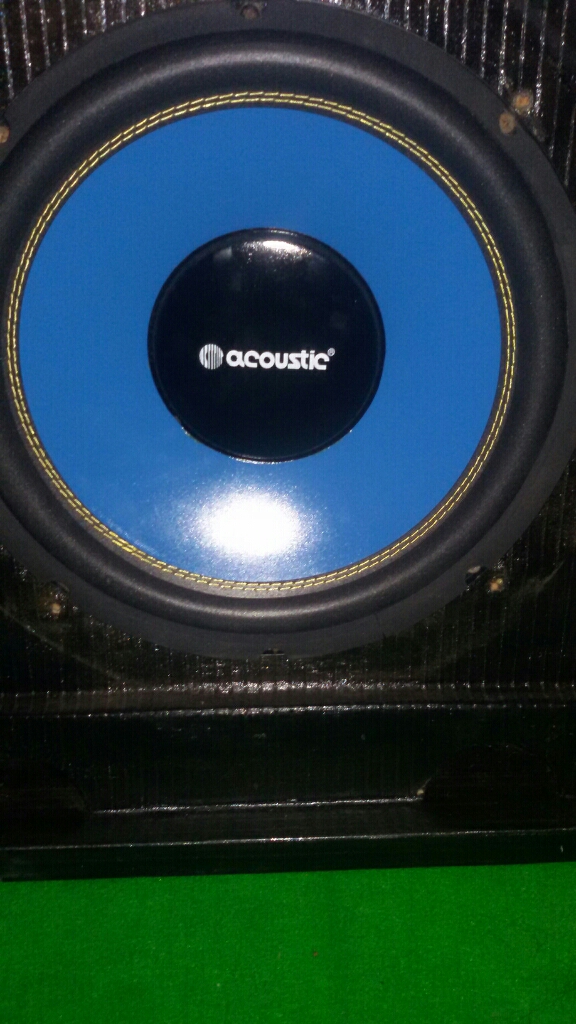 speaker acoustic 12 inch