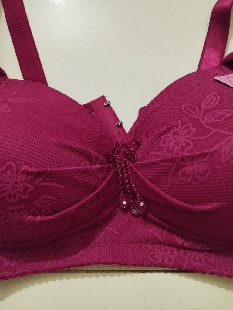 Bra for Women Push Up High Quality Imported Bra for Women