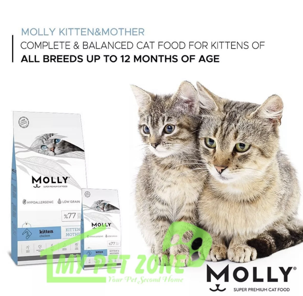 molly kitten cat food