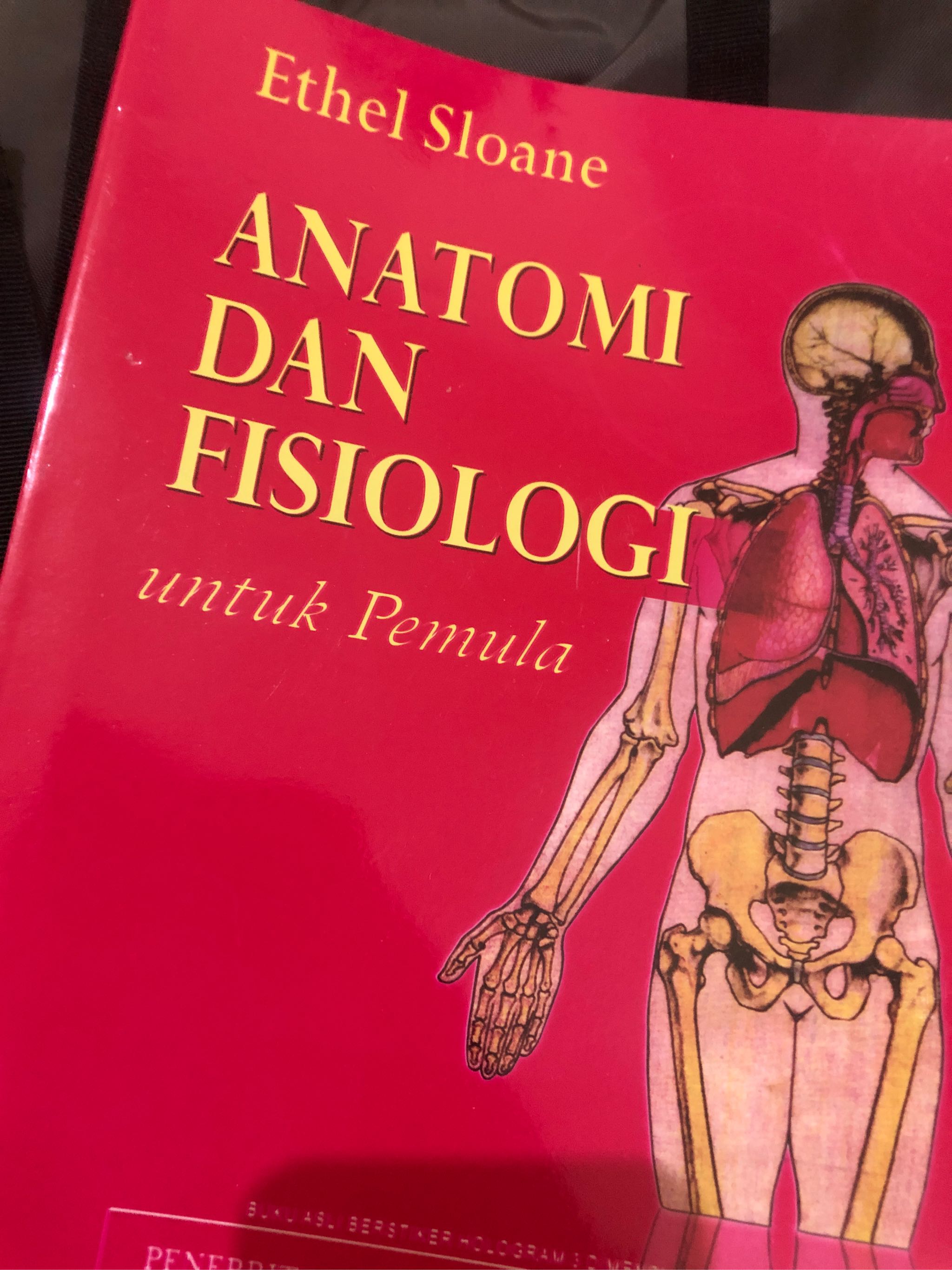 ethlel fisiologi manusia ethlel fisiologi manusia