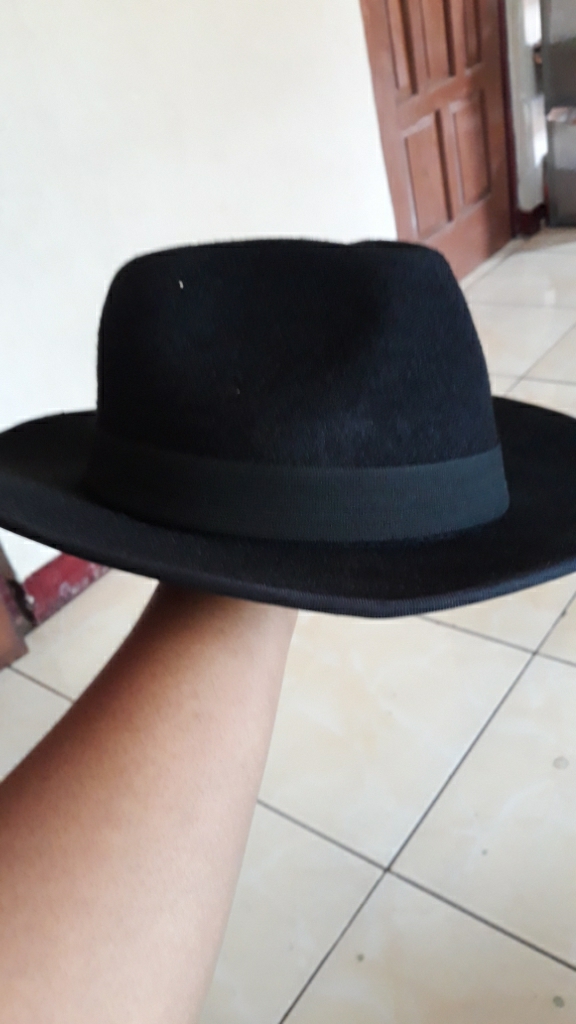 Topi Fedora Hat Lebar RFOSTORE | Lazada 