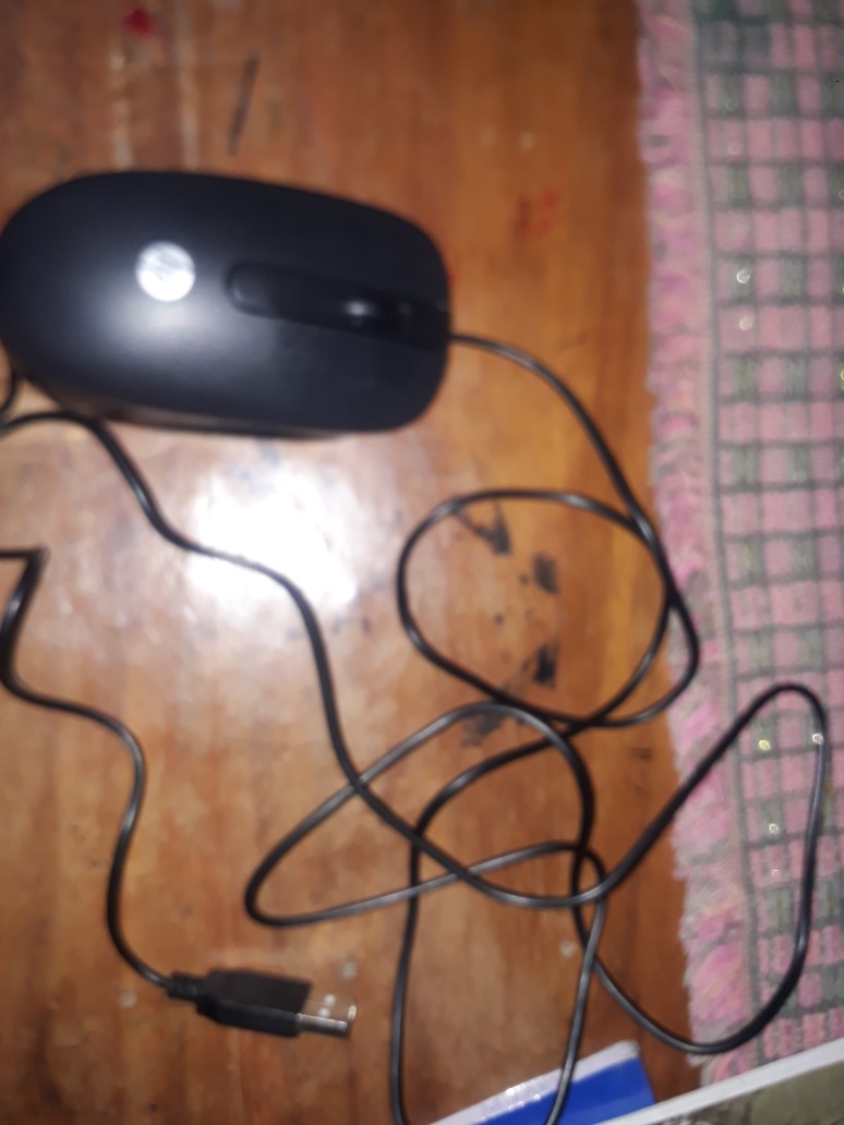 Apollo Mouse 3 Pulsanti HP Apollo-OU Black USB Optical Mouse 2-Button Scroll 672652 ...