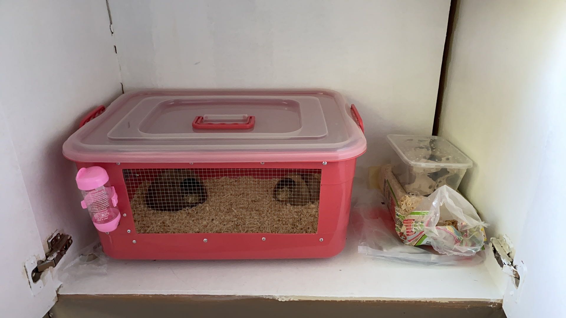 tupperware hamster cage