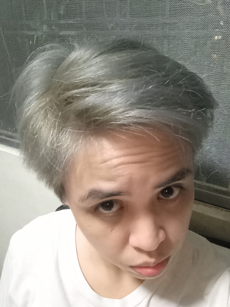 Just Love Permanent Hair Color Ash Gray | Lazada PH Just Love Permanent Hair Color Ash Gray | Lazada PH