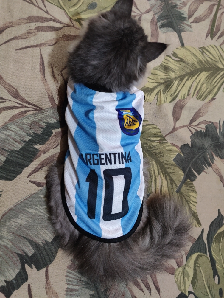 Dog Cat Mesh Vest Pet World Cup Football Jersey Yellow No. 10 Brazil And  Argentina jersey cat jersey Argebtina cat jersey brazil cat jersey pet jersey  jersey jersey for cat world cup