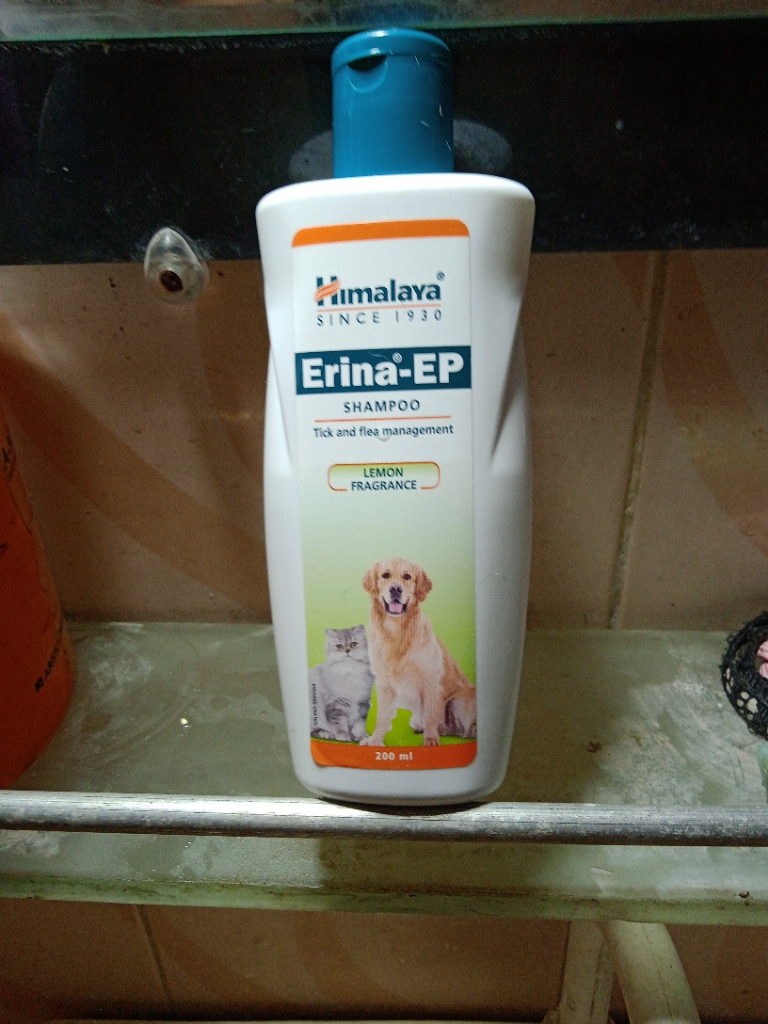 Himalaya tick outlet shampoo