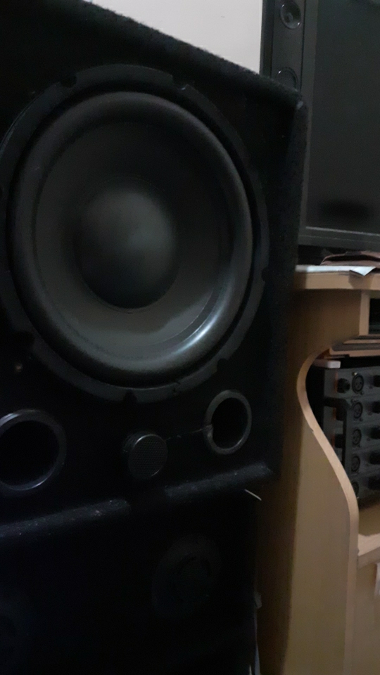 SPEAKER 10 INCH WOOFER AUDIO 250 WATTS 