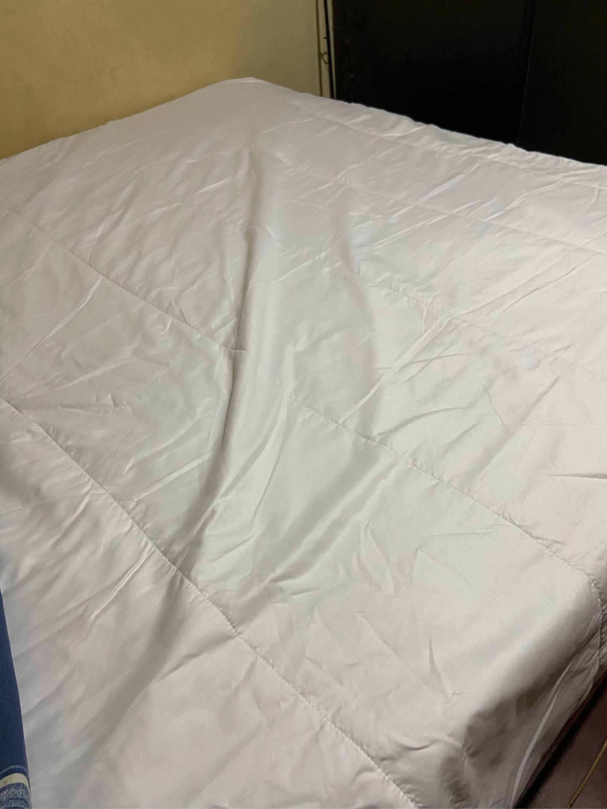 celsius mattress protector