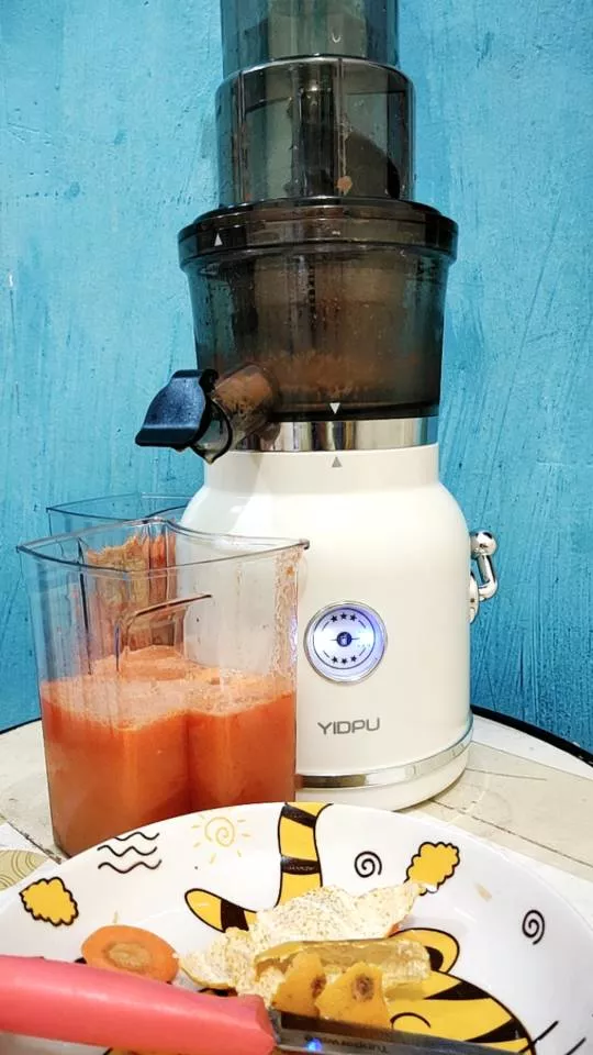 Slow Juicer Electric Fruit Juicer 150W Fruit Extractor Blender