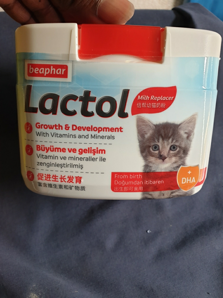 Lactol kitten 2024 milk powder