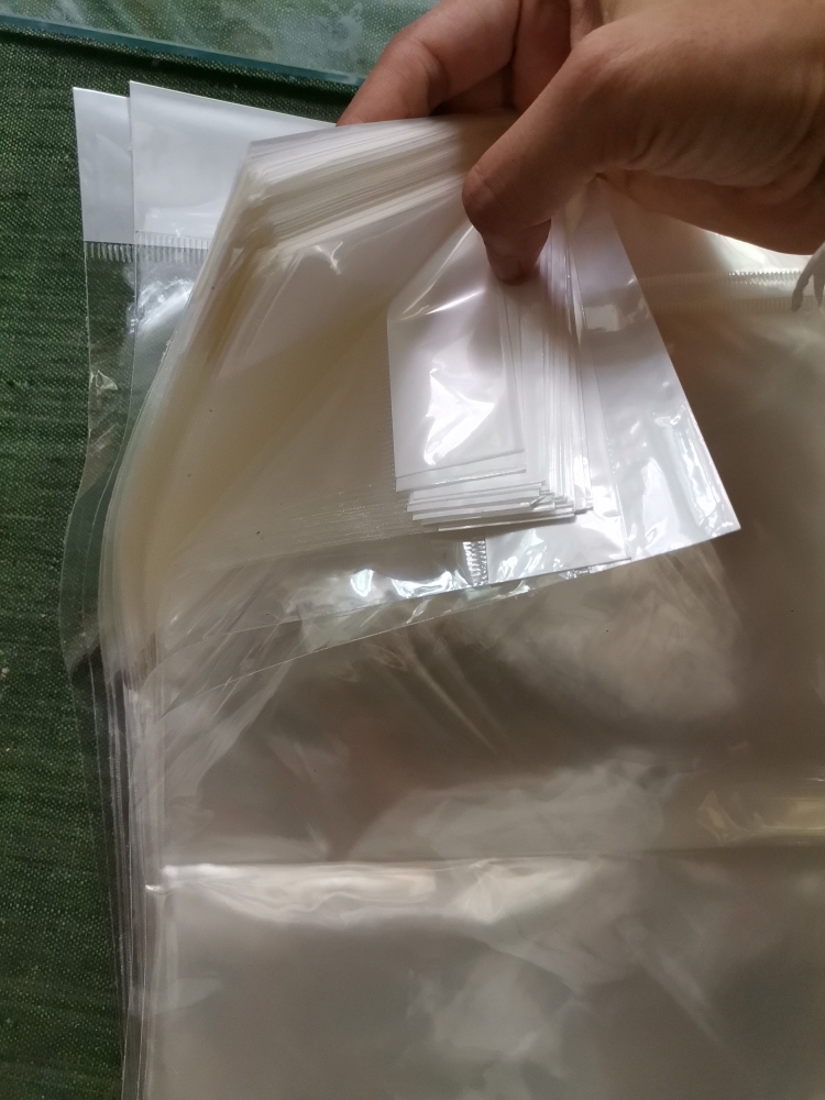 100pcs Transparent Self Adhesive Seal Plastic Storage Bag OPP Poly Pack  Gift Polythene Bag With Hang Hole Retail Packaging Pouch CD Cover