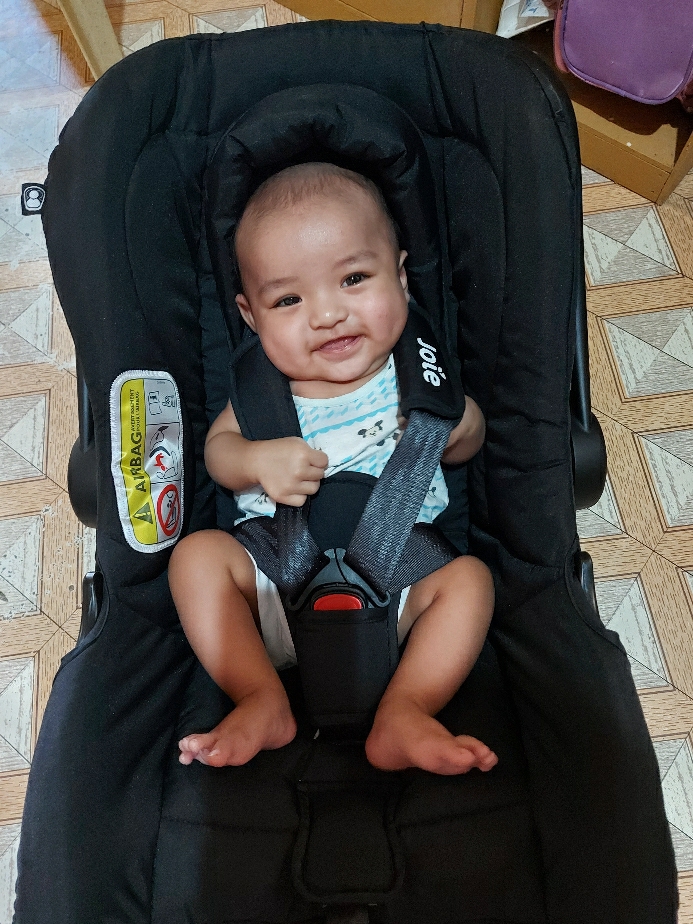 joie juva safety review