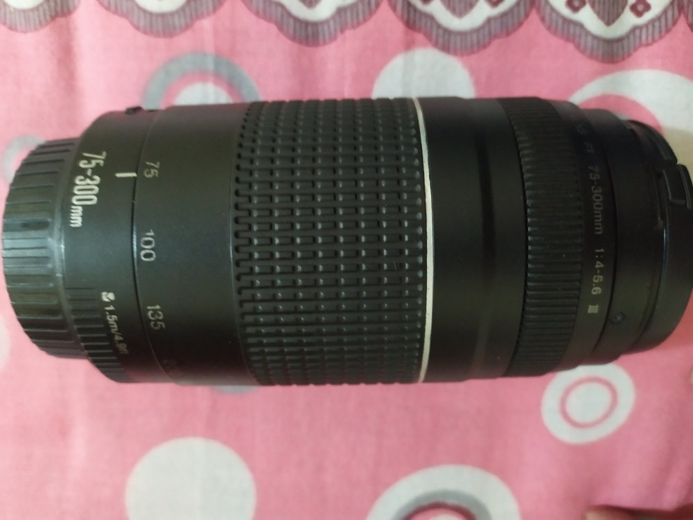 Canon Ef 75 300mm F 4 5 6 Iii Lens Buy Online At Best Prices In Bangladesh Daraz Com