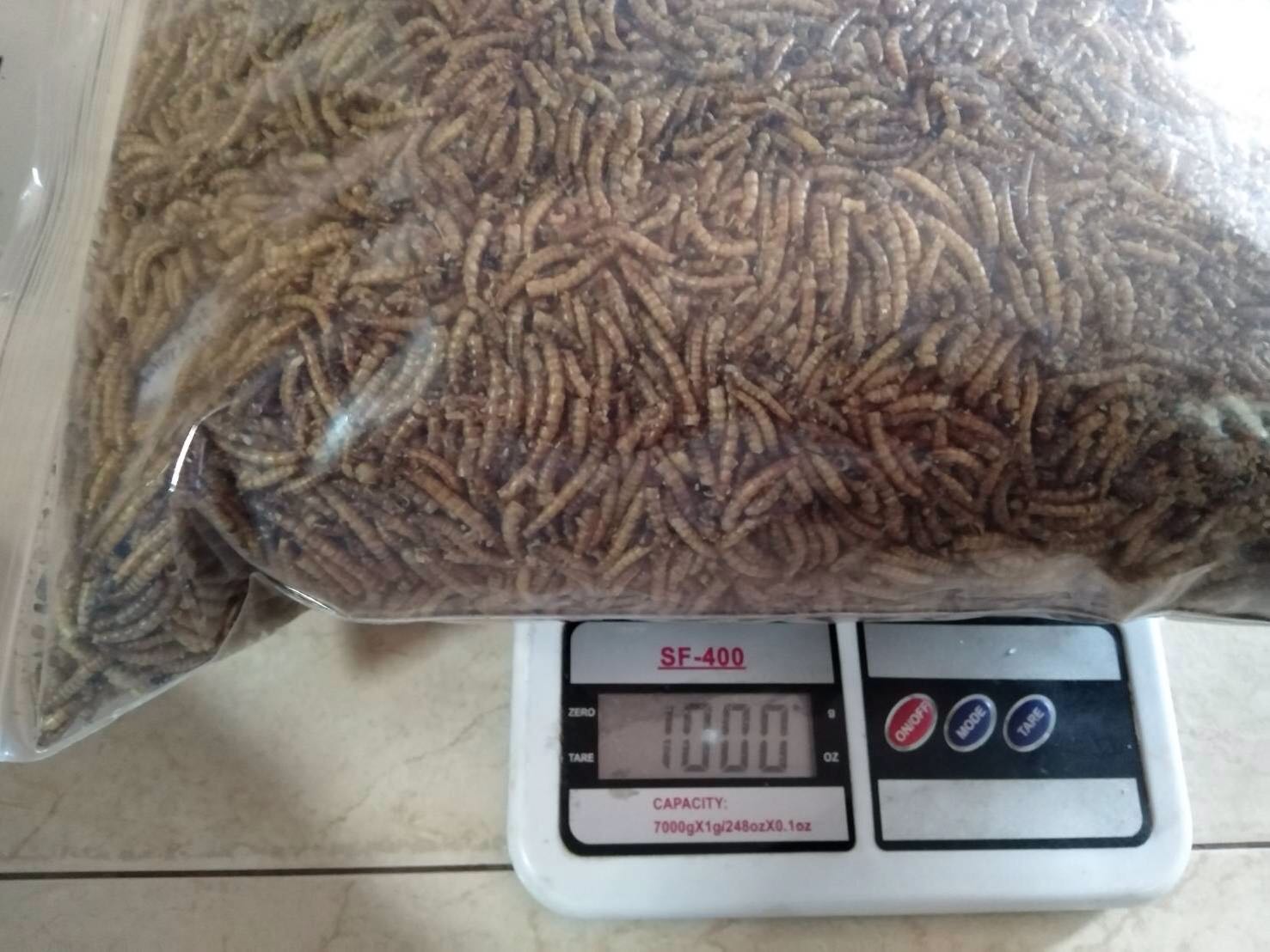 アイテムID:5182485の画像1枚目