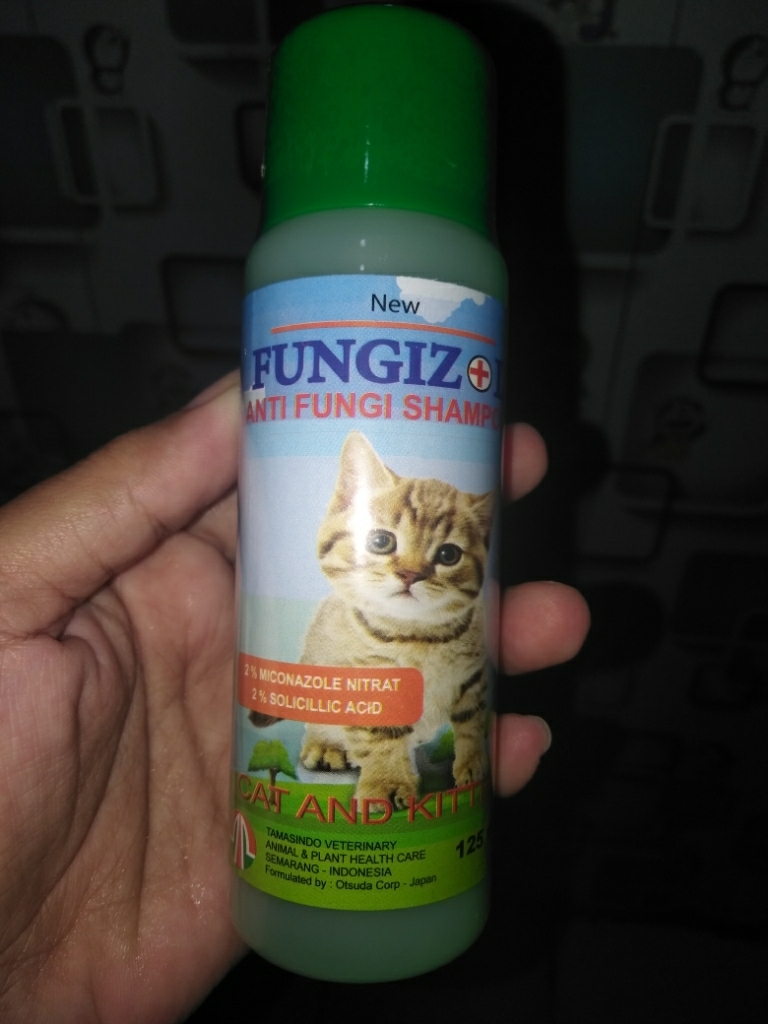 SHAMPO KUCING ANTI JAMUR SAMPO KITTEN SCABIES FUNGIZOL  Lazada 