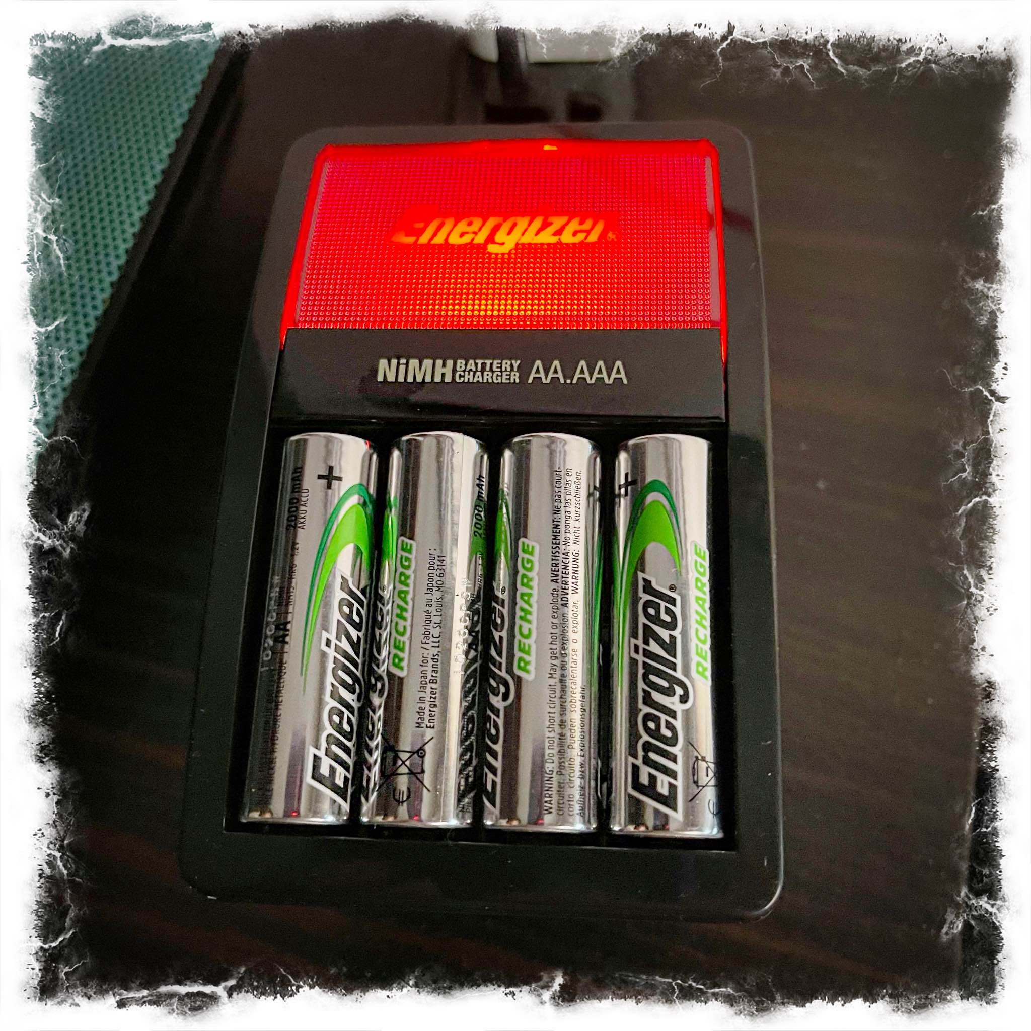 Sunbeam Battery Charger