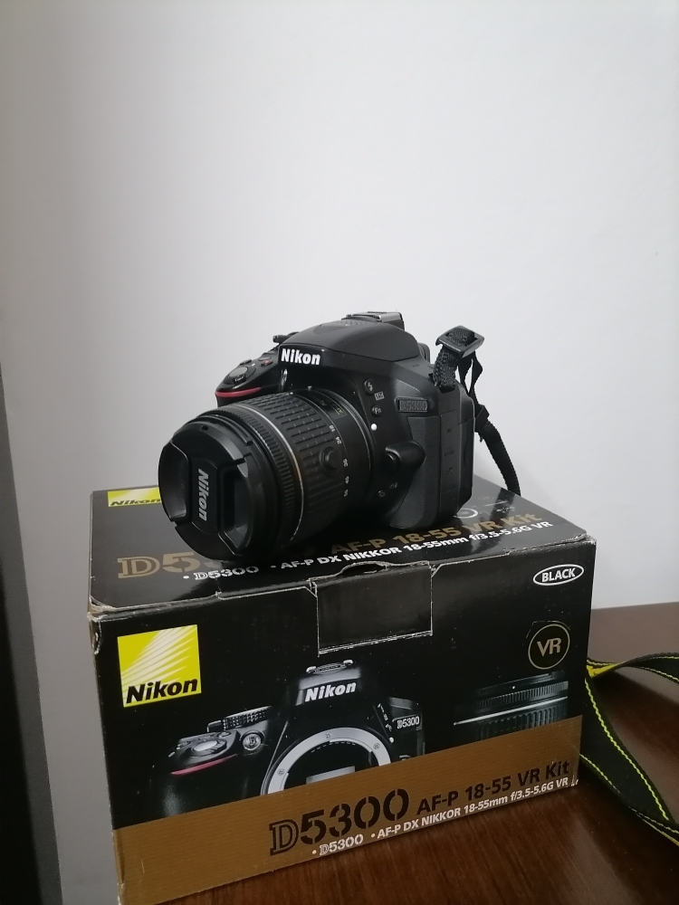 Nikon D5300 18-55 VRII Kit 21L ンズアクセサリ多数