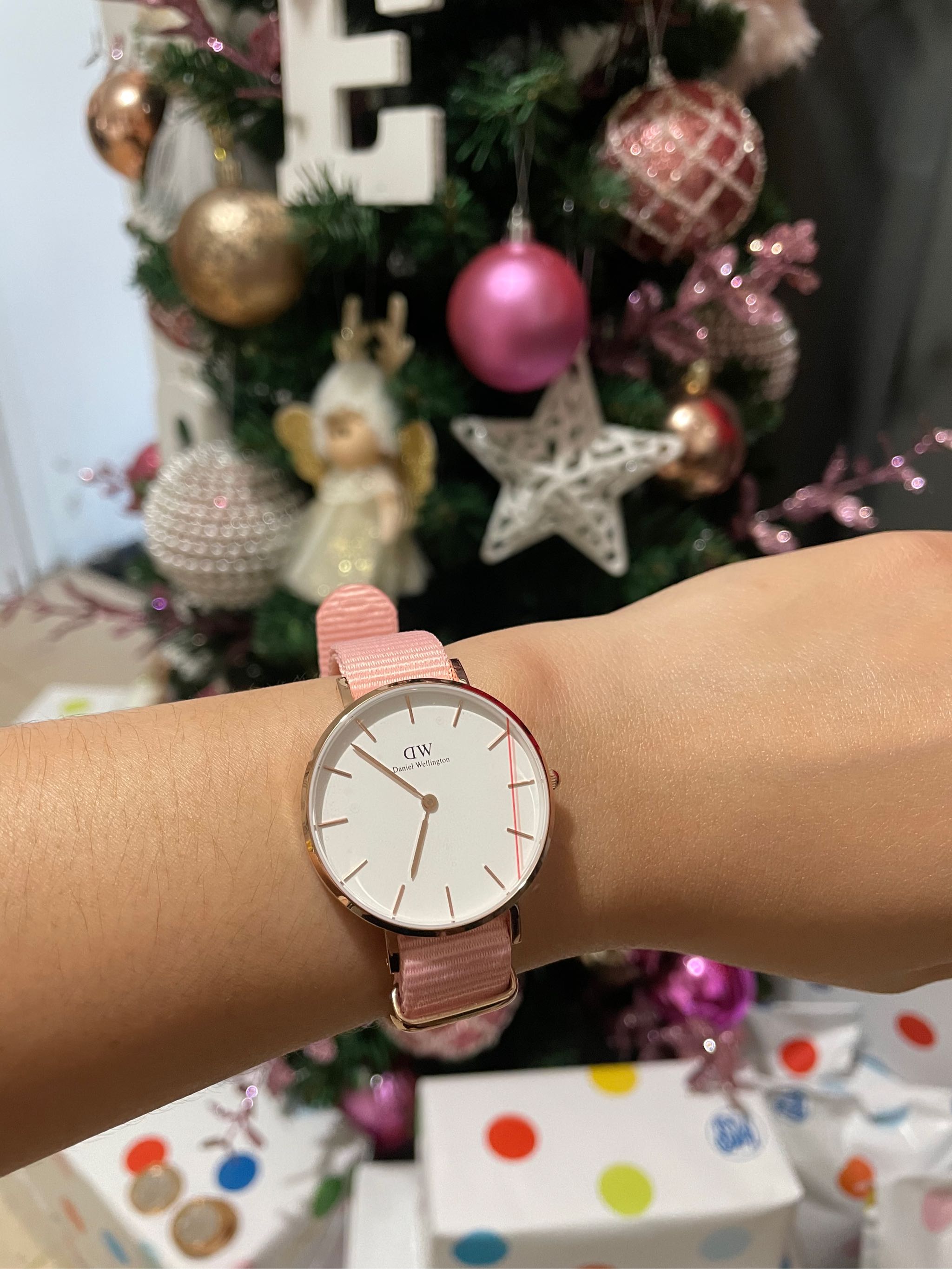 Daniel Wellington Petite Rosewater 28 32 36mm Rose gold DW Watch